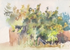 portfolio_gal/Aquarelle/_thb_apple tree.jpg